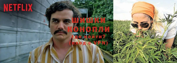 хмурый Балабаново