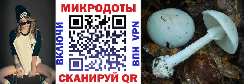 Галлюциногенные грибы Magic Shrooms где можно купить наркотик Горнозаводск